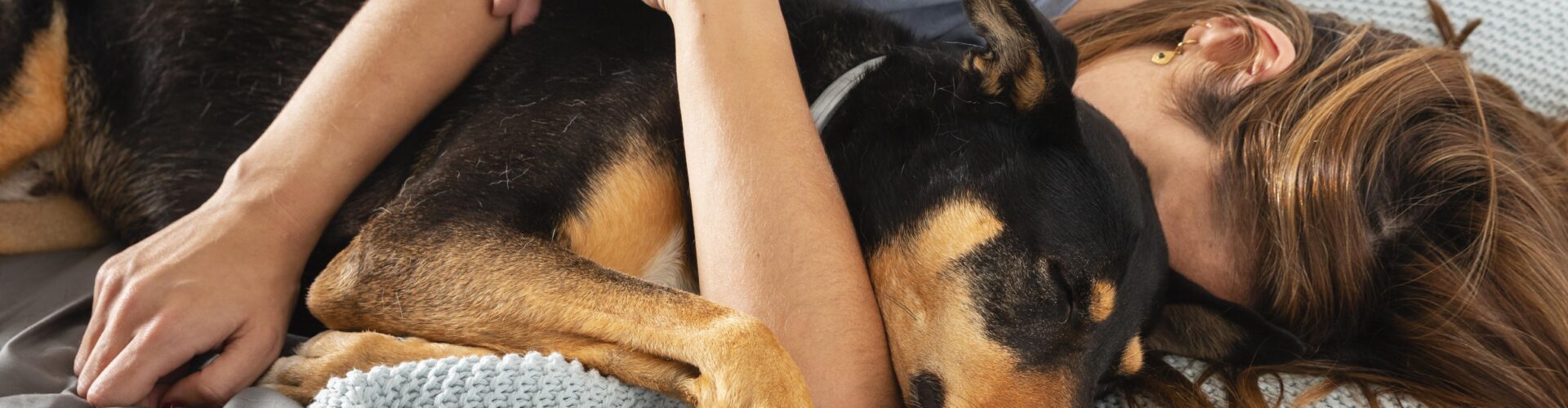 Vai ter cachorro na cama, sim!